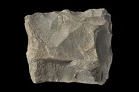 Meta-sandstone Collection Image, Figure 9, Total 9 Figures
